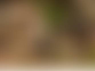 CO Unite For Climate 9-10-24