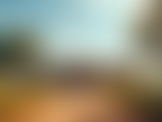 Preventative Wellness Strategies for Long-Term Health