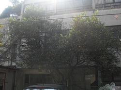 PI-V-T-0010-Fachada1