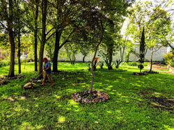 PI-V-C-0020-jardín5