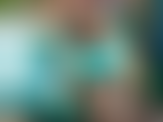 A Bark-tastic Day: Paws at the Pool in Coral Gables