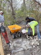 Backyard construction/clean up