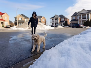 Coquitlam Strata Snow Removal: The Winter Service Plan Every Council Should Have Before the First Freeze Hits
