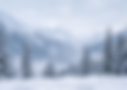Gemini_Generated_Image_v29cptv29cptv29c.png