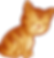 15.png