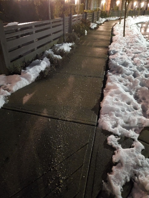 2380 Ranger Ln, Port Coquitlam.jpg