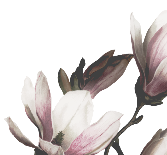 12.png
