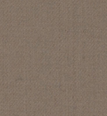 Thumbnail: Tan Solid Trouser