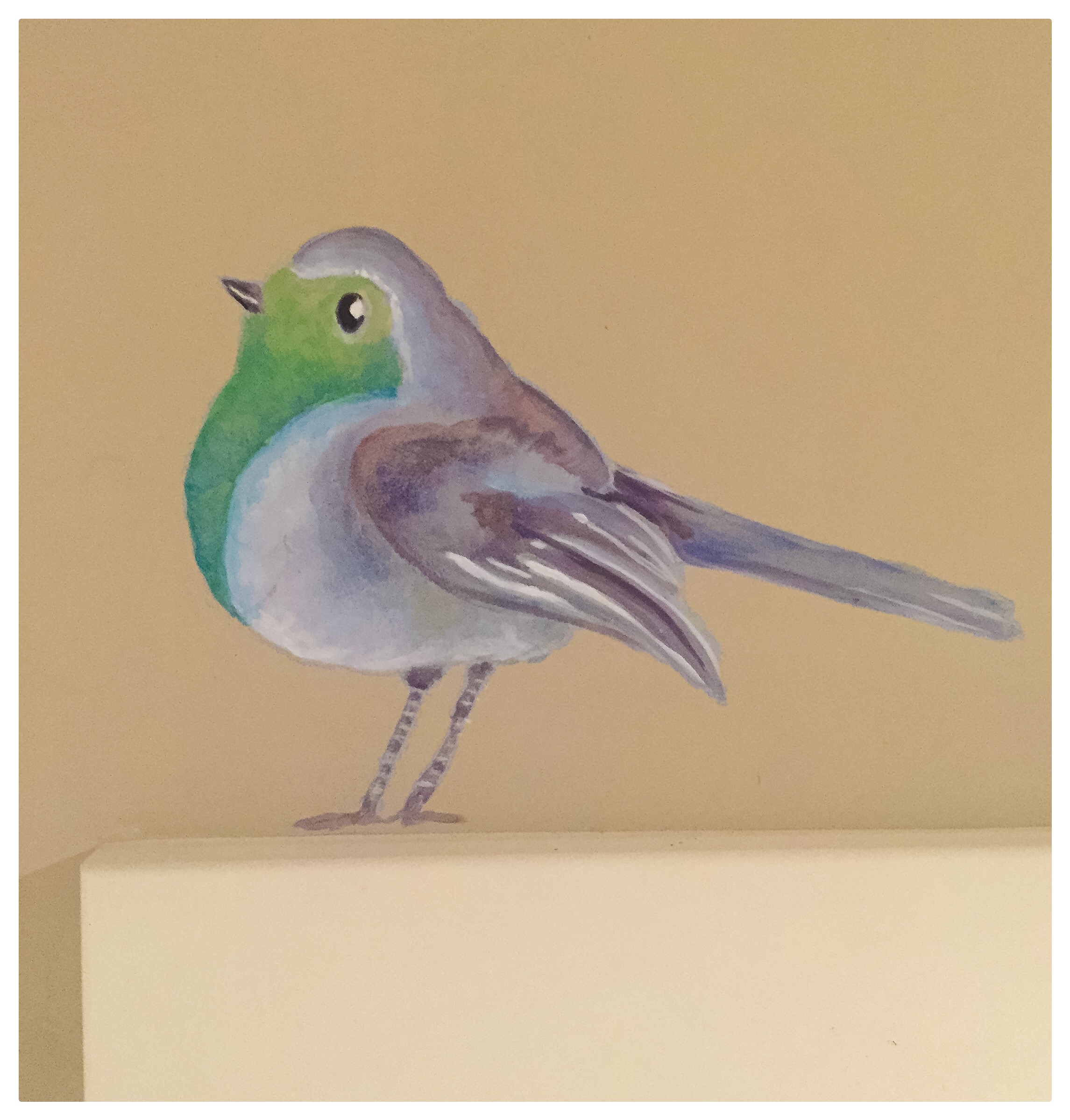 Door top Birdie.