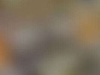 権力者の恣意 不正選挙よりヘイト・バッシング
