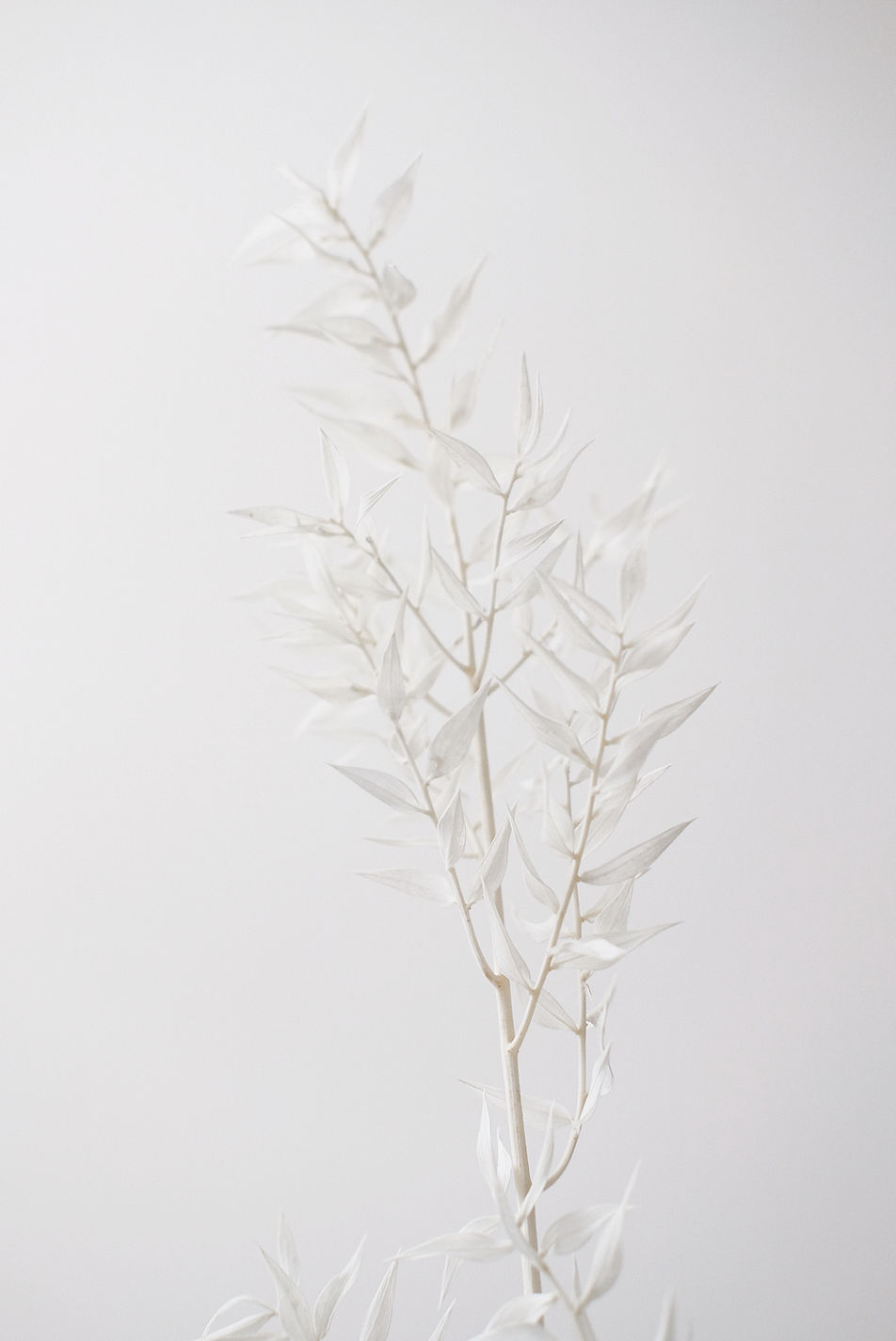 laurice-manaligod-9eupWltJLxg-unsplash_edited.jpg