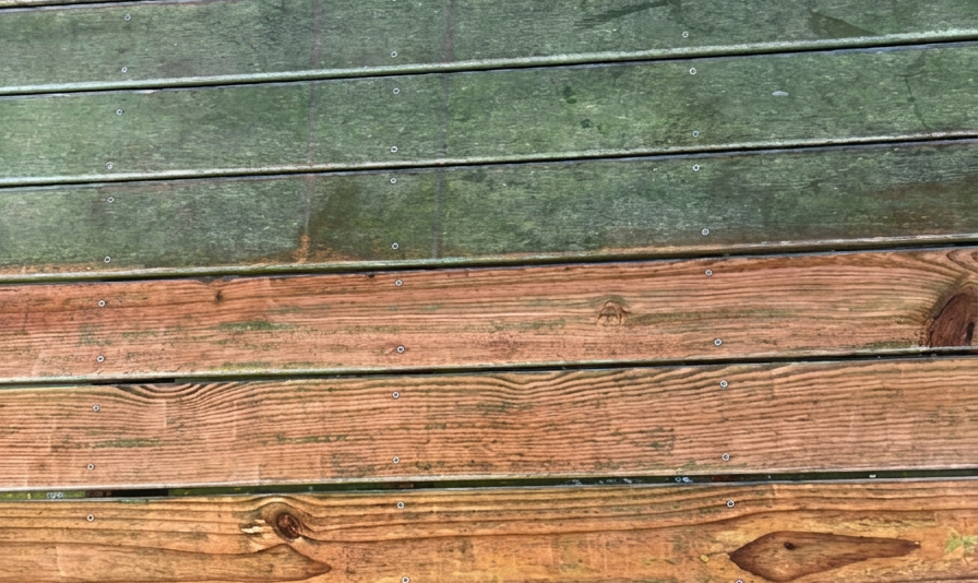 686932849_122106431414692053_4880816622465091118_n.jpg