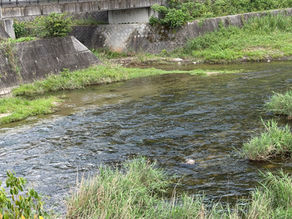 7月17日の河川状況。