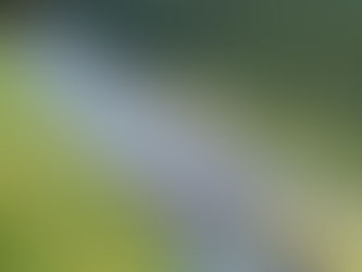 9月4日の河川状況。