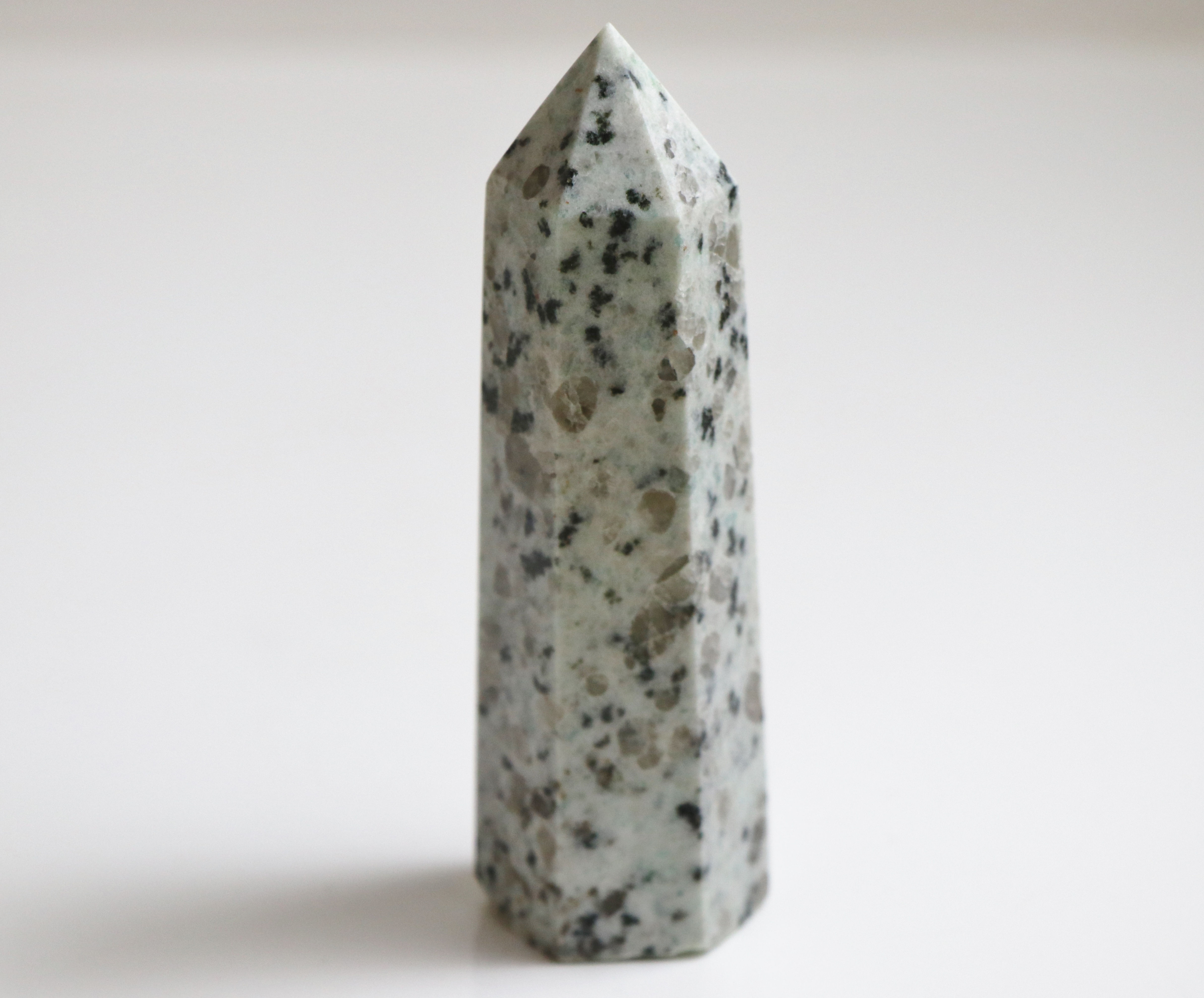 Kiwi Jasper