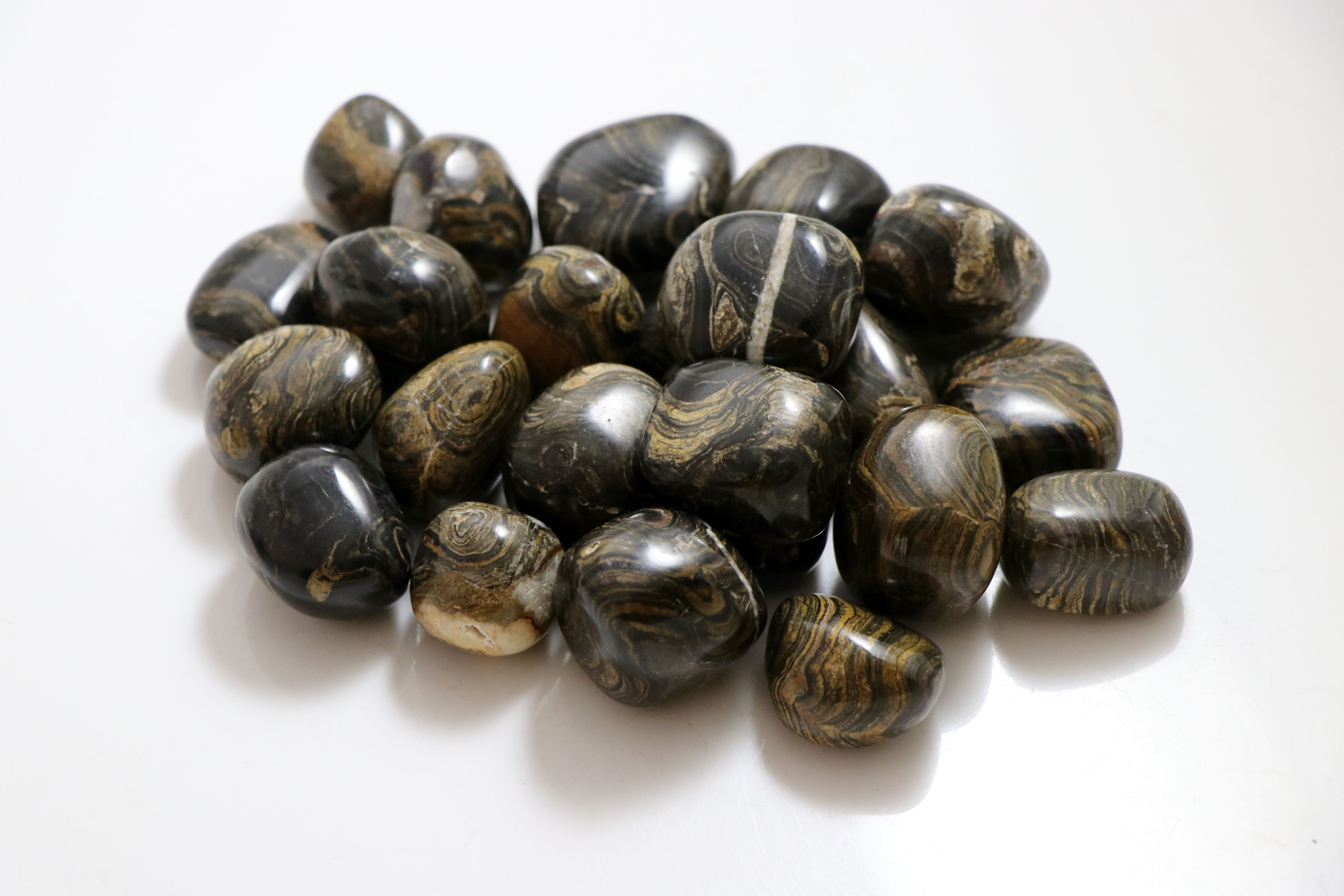 Stromatolite