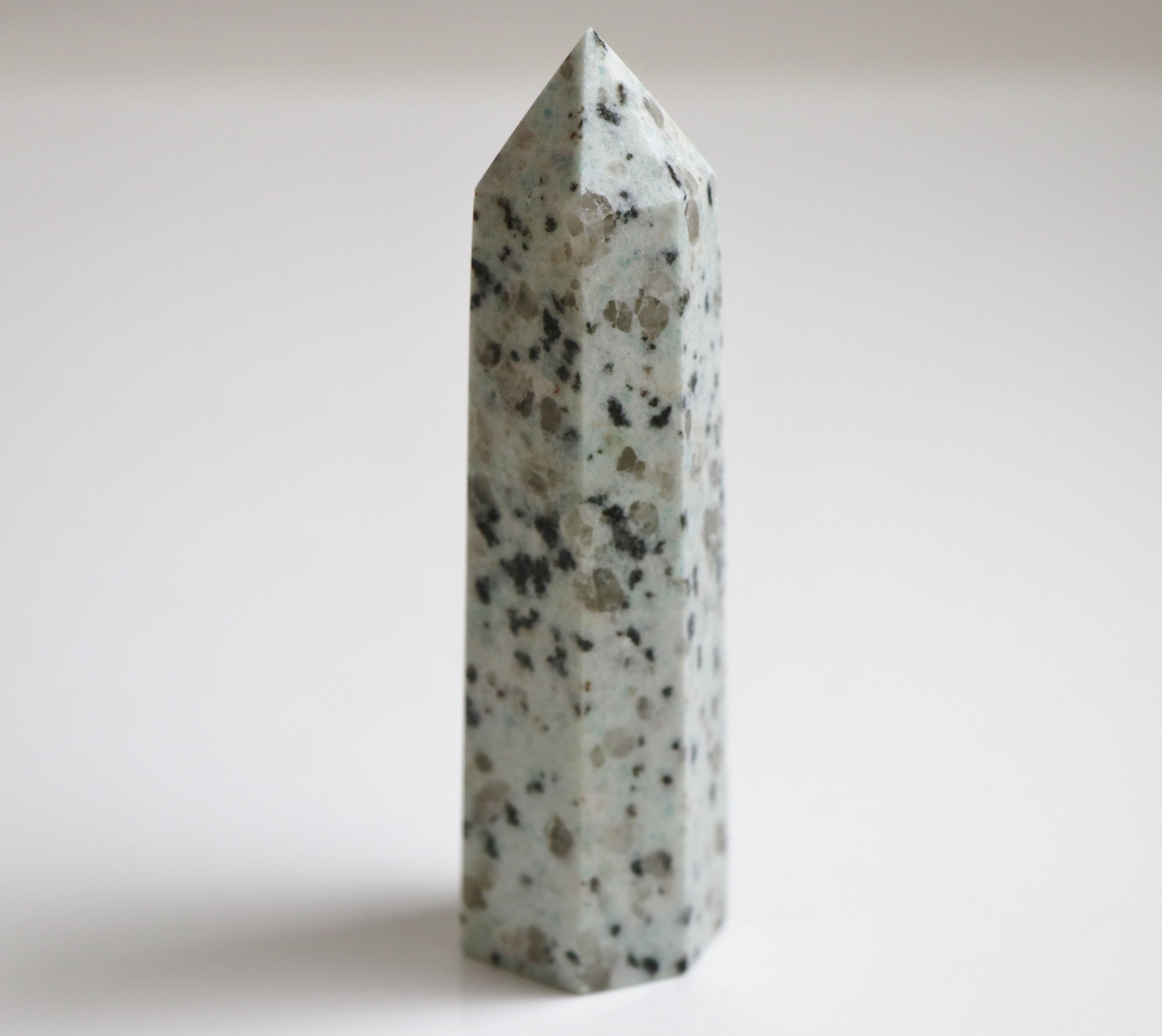 Kiwi Jasper