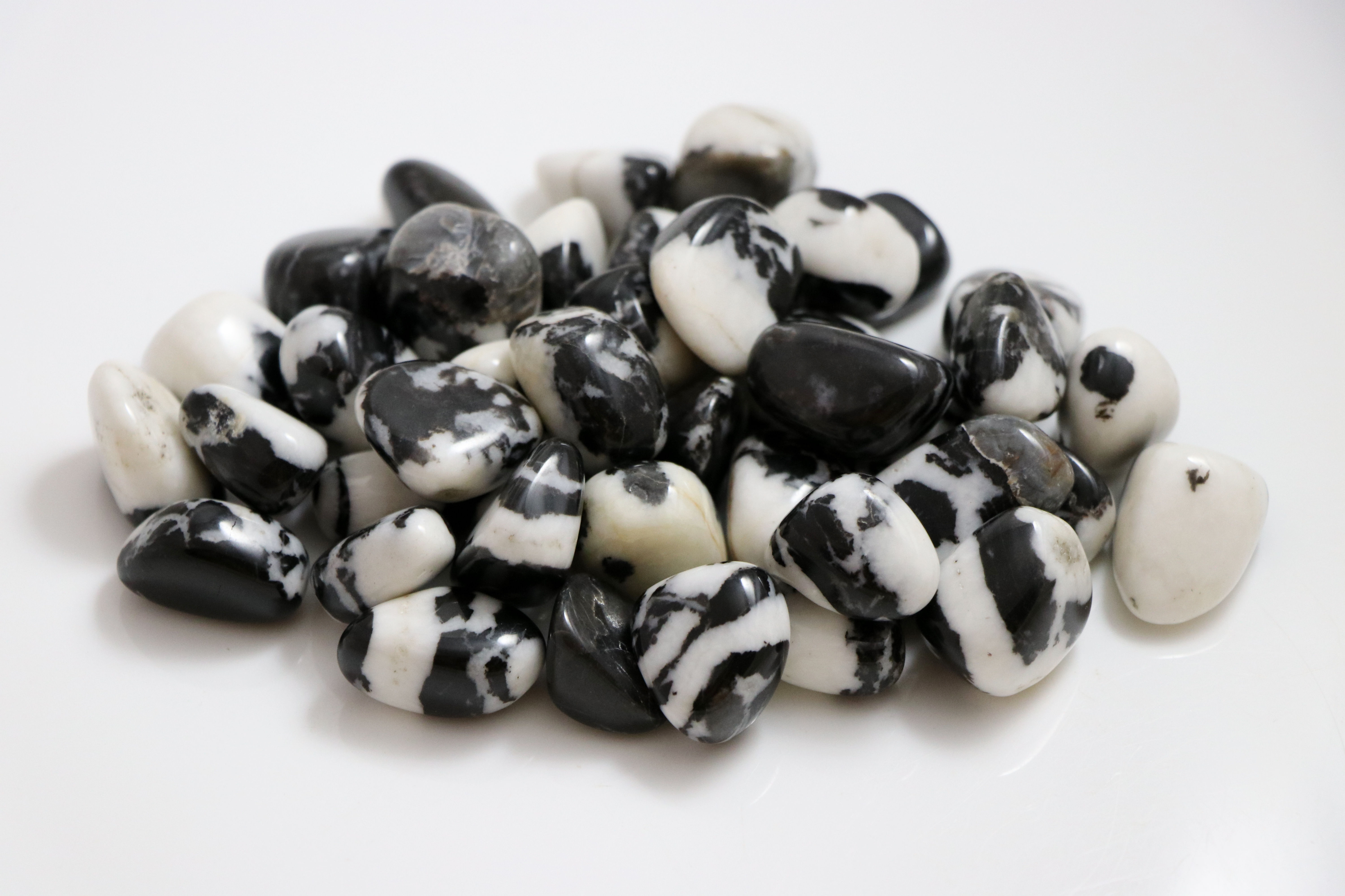 Black Zebra Jasper
