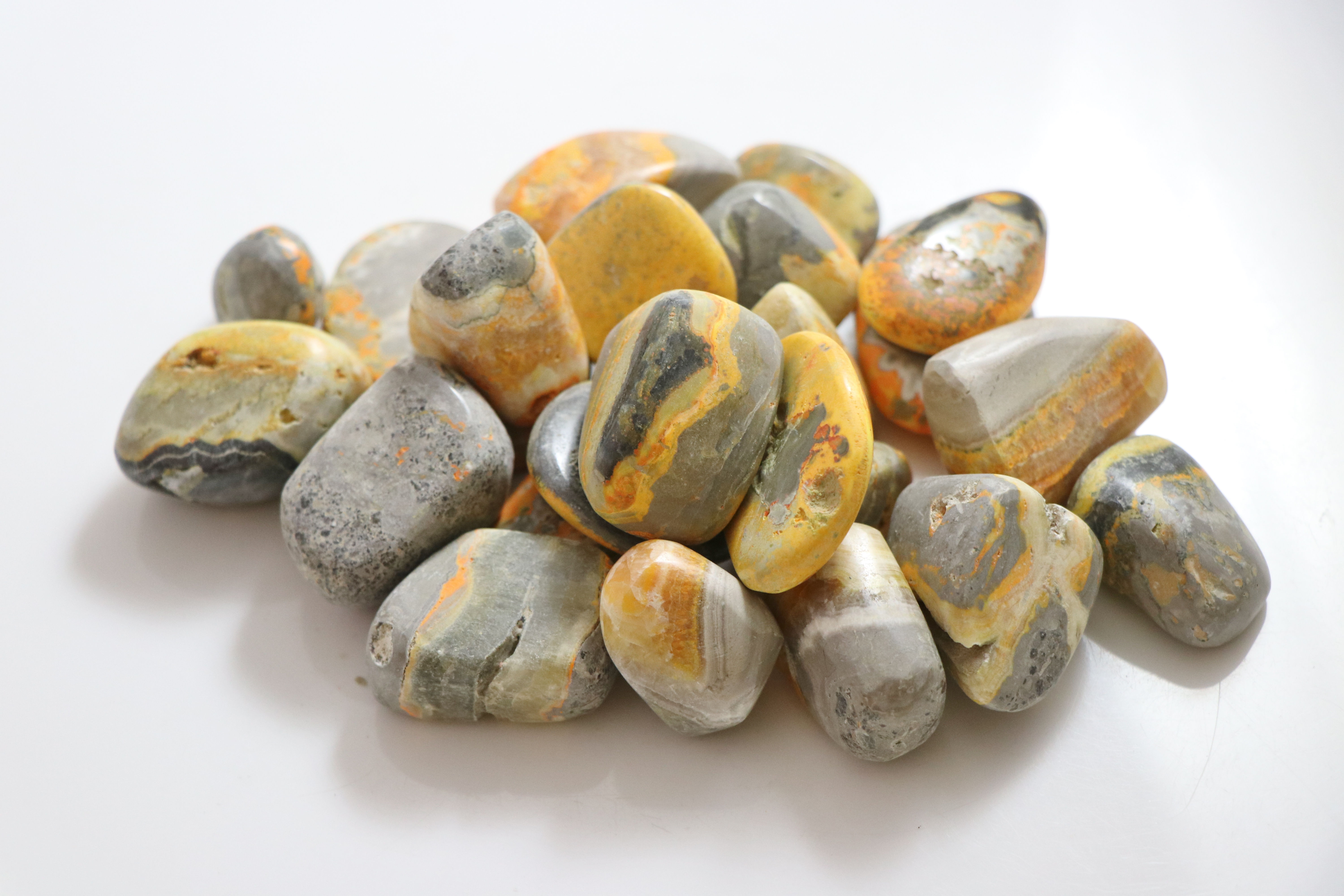 Bumble Bee Jasper