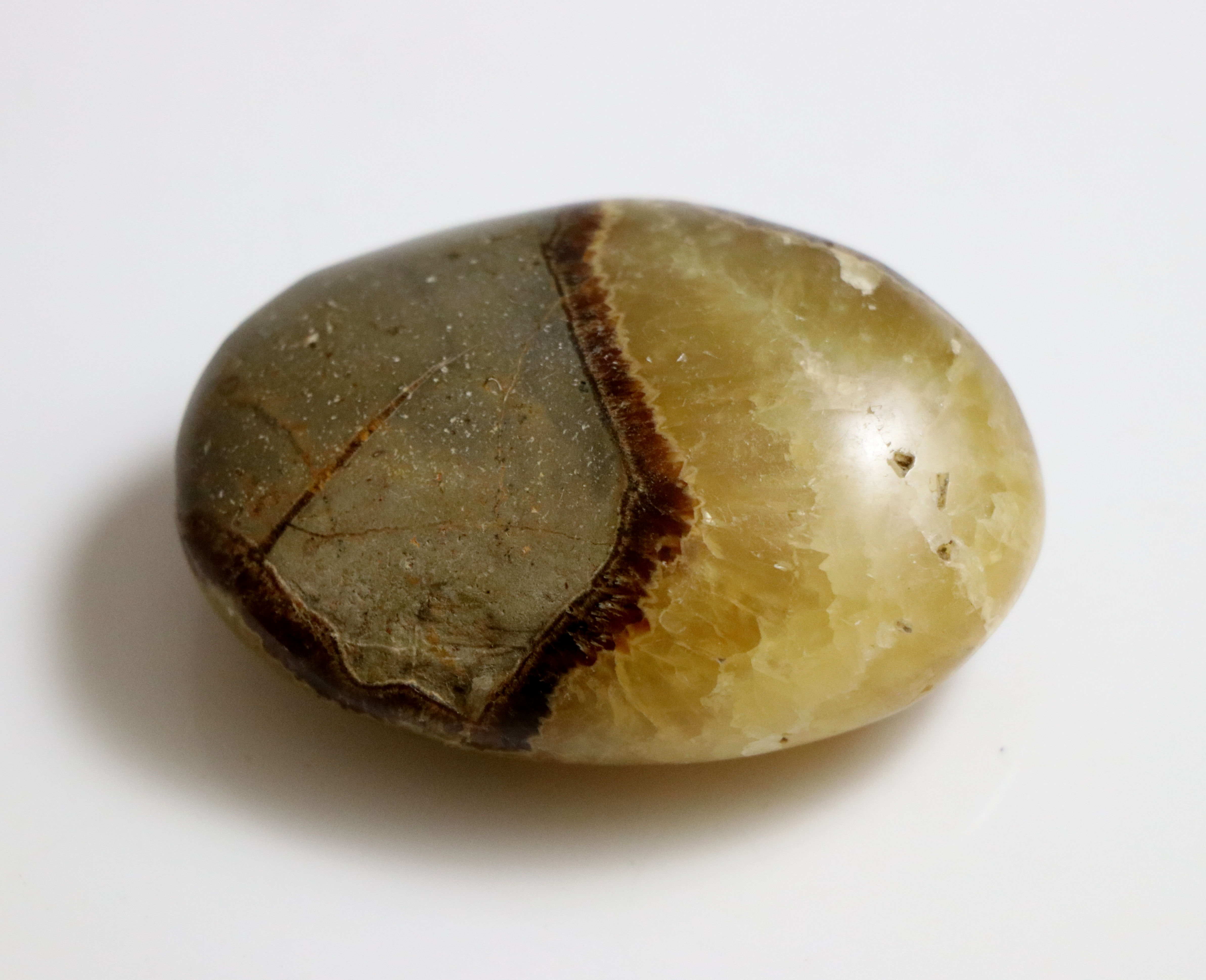 Septarian