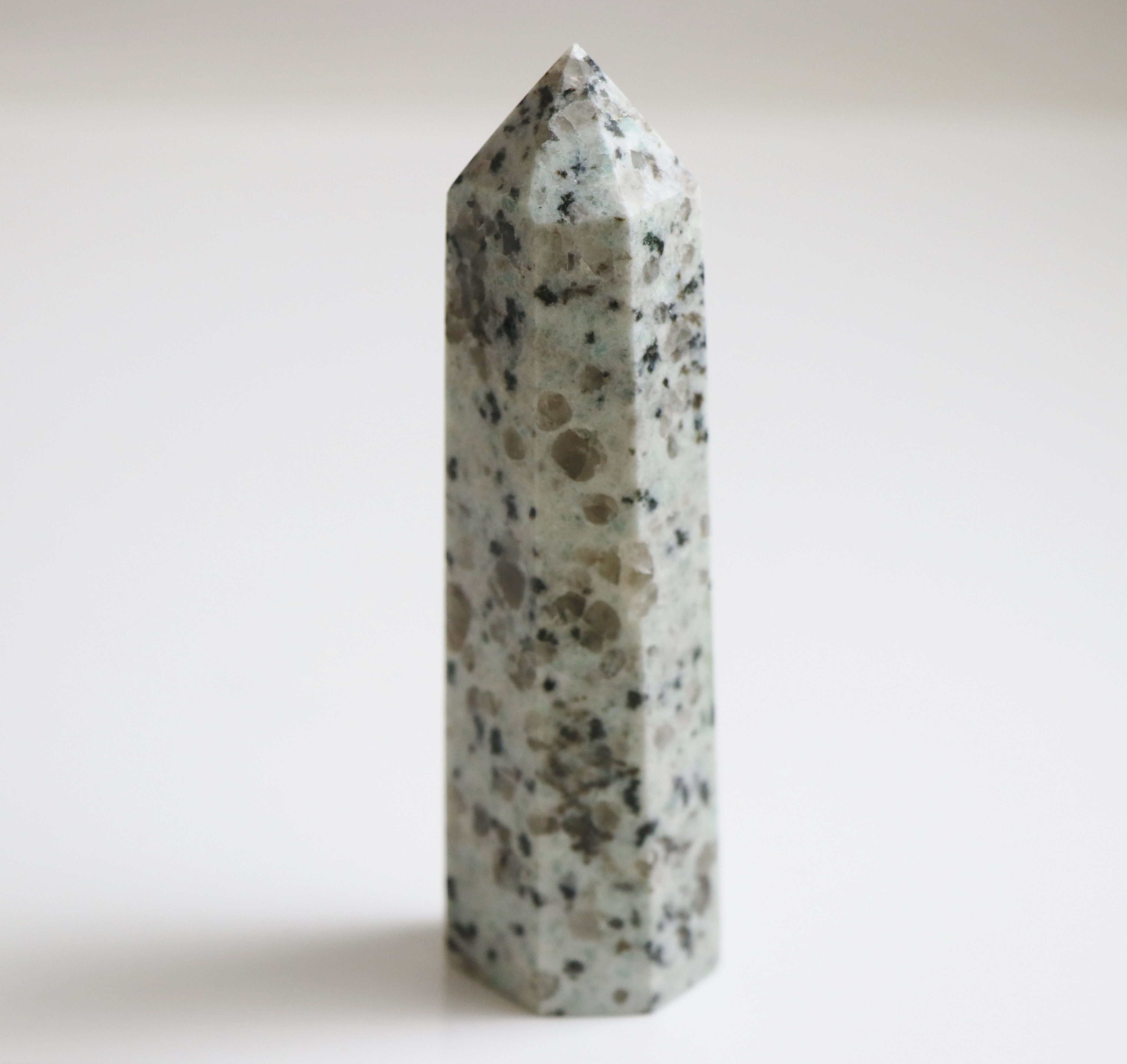 Kiwi Jasper