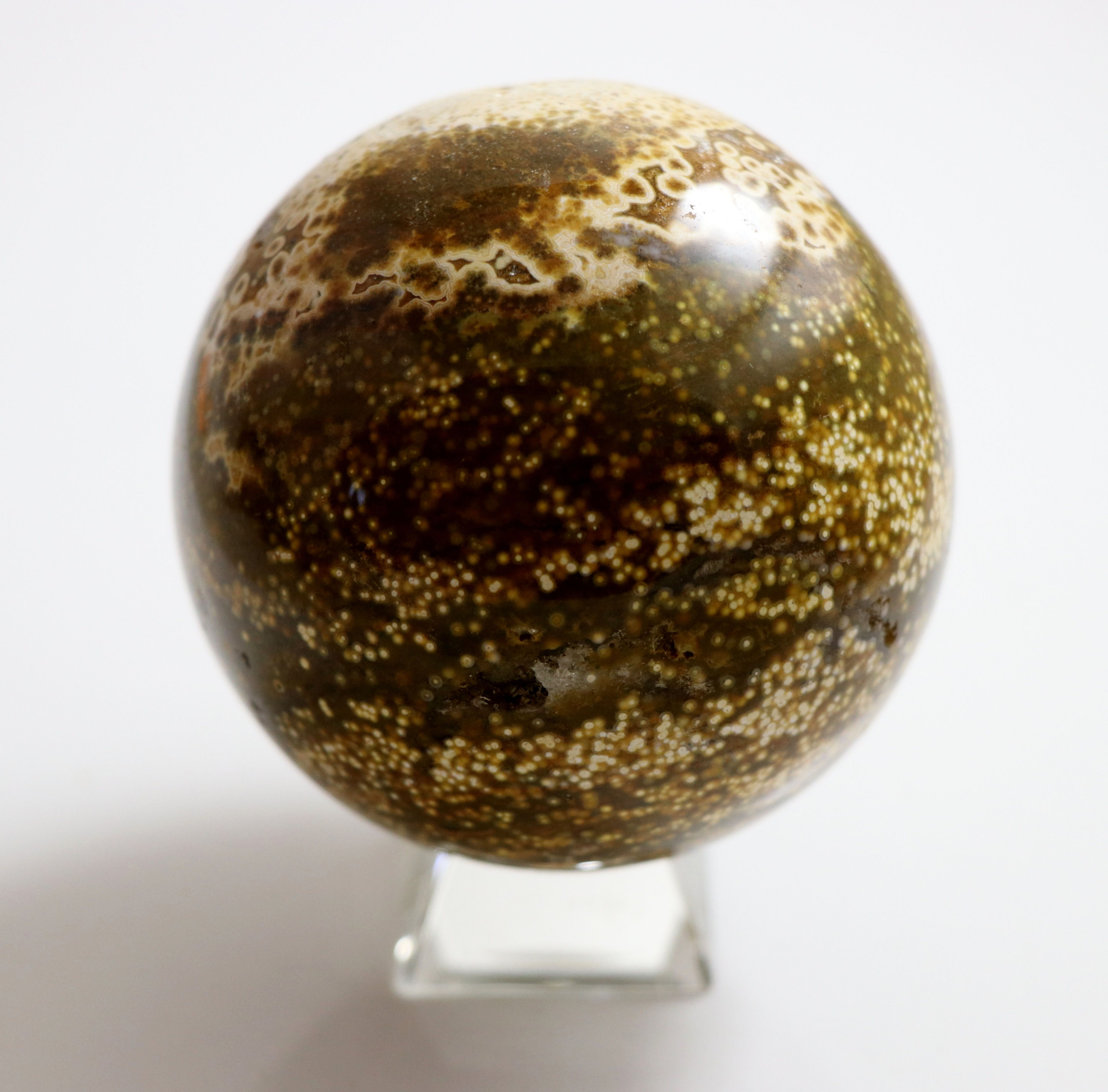 Ocean Jasper