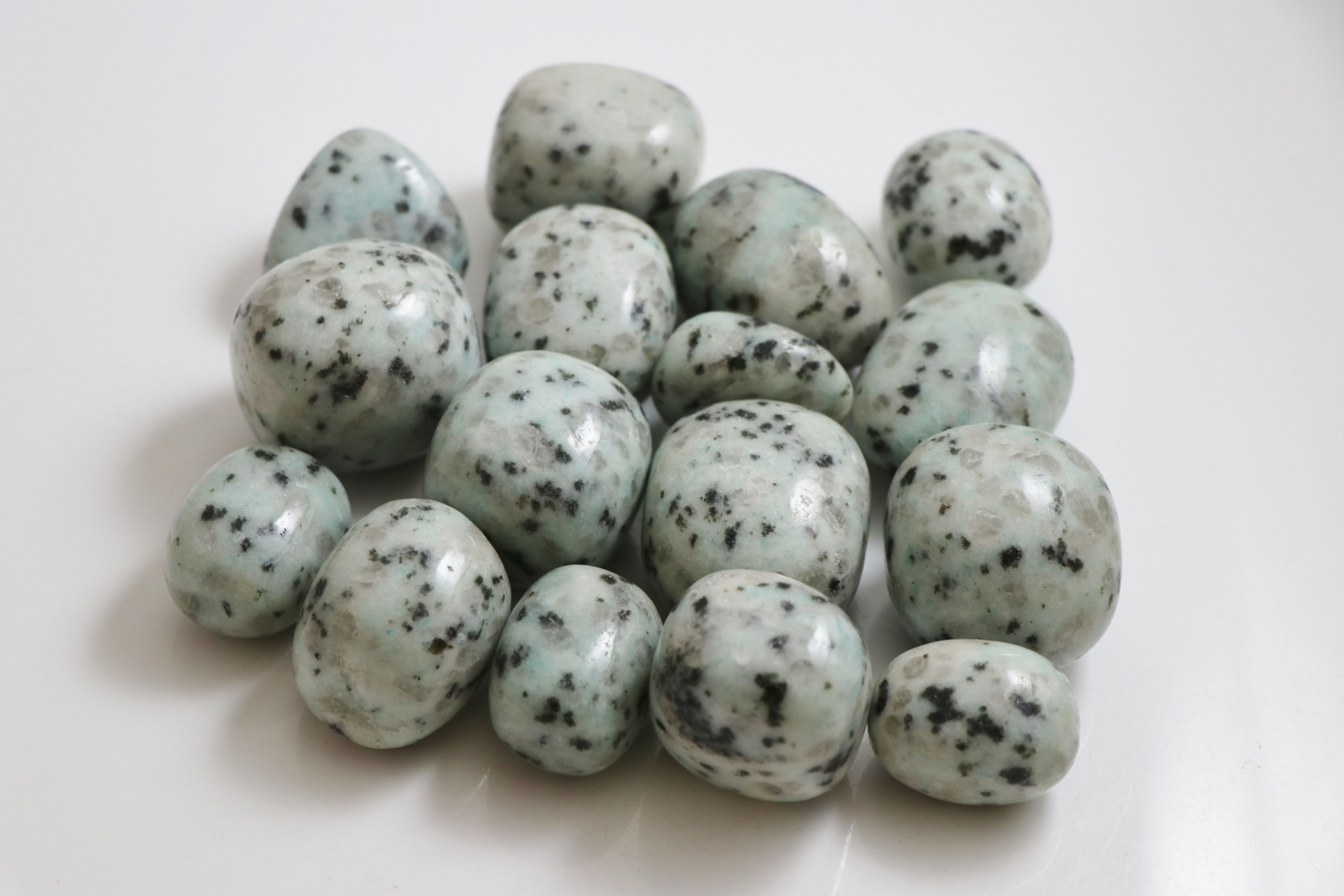 Kiwi Jasper