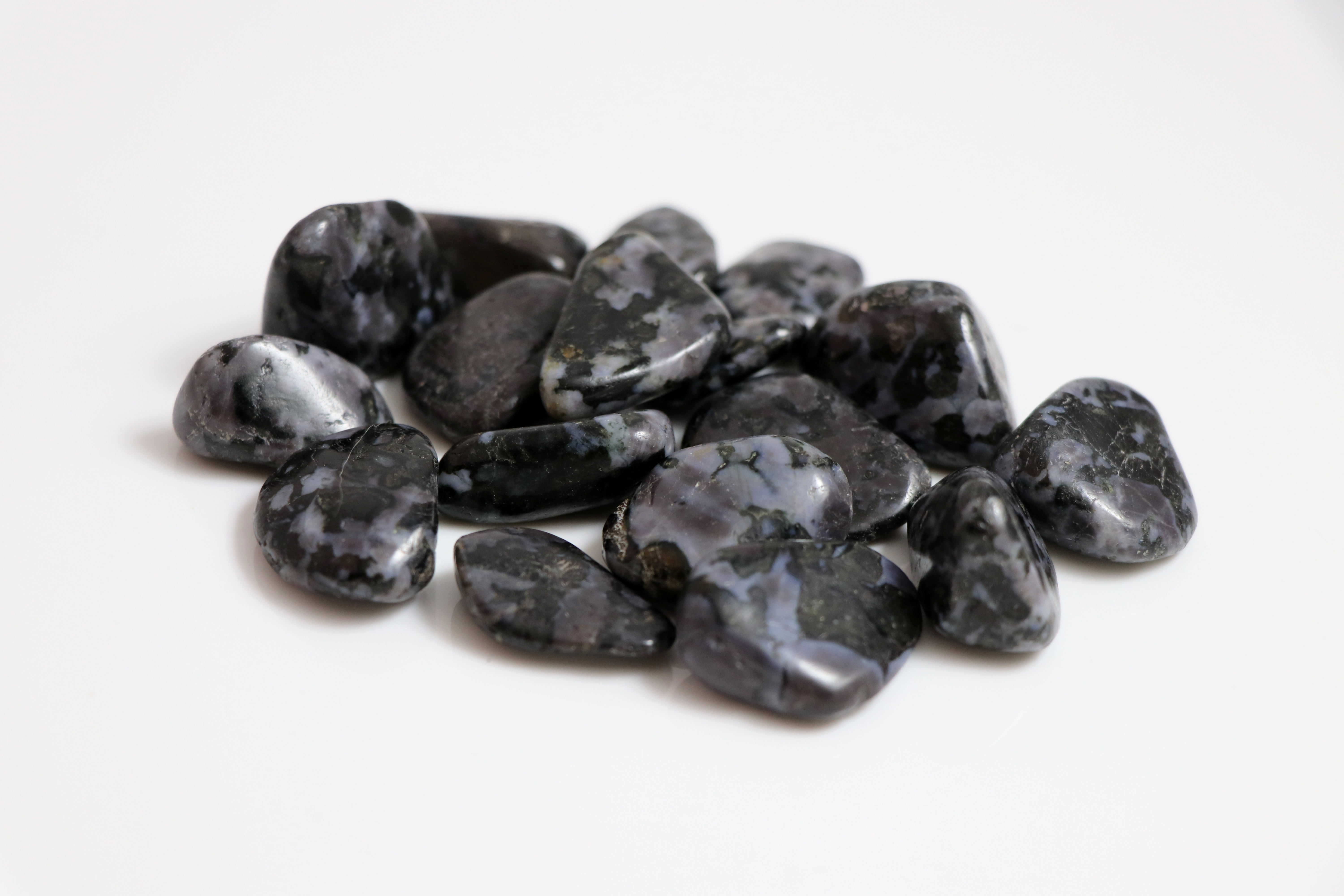 Indigo Gabbro