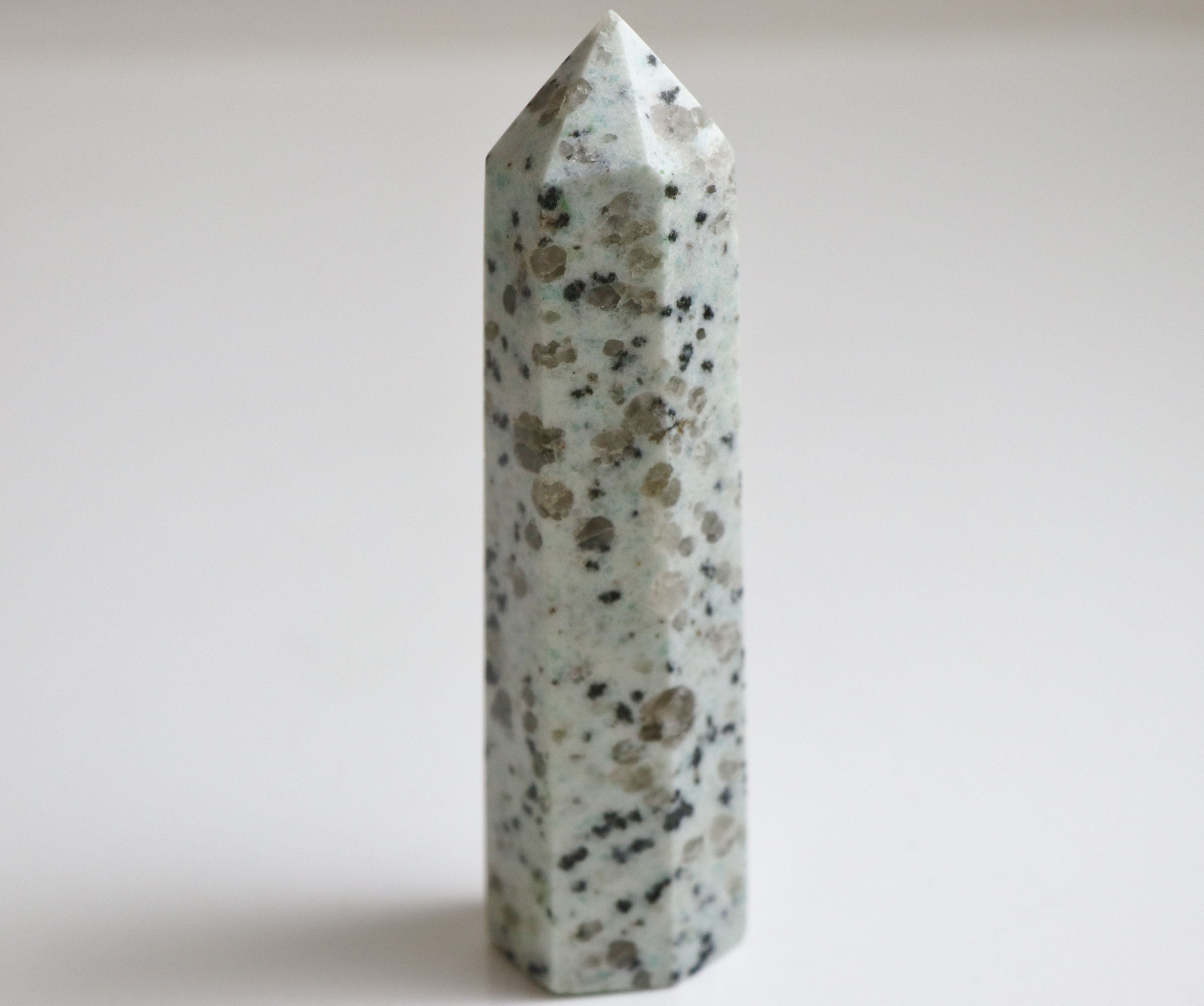 Kiwi Jasper