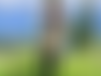 SOLA 25 - Mittwoch - Rösli