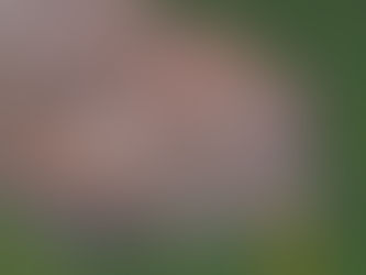 Chicago cubs won 2016 World series!!!