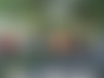 Explicate the Bodhi Meditation