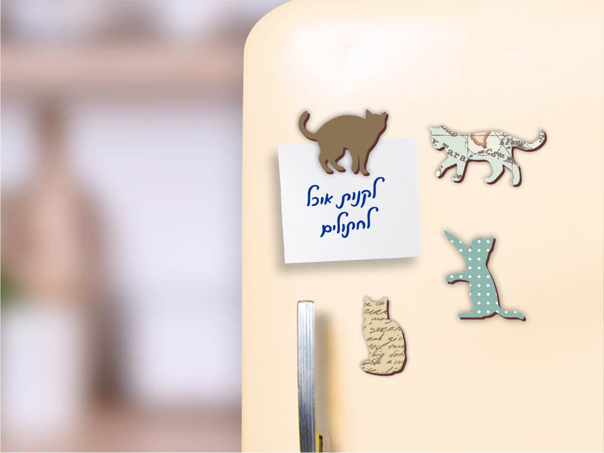 רבעיית מגנטים למקרר | חתולים טורכיז מעושן