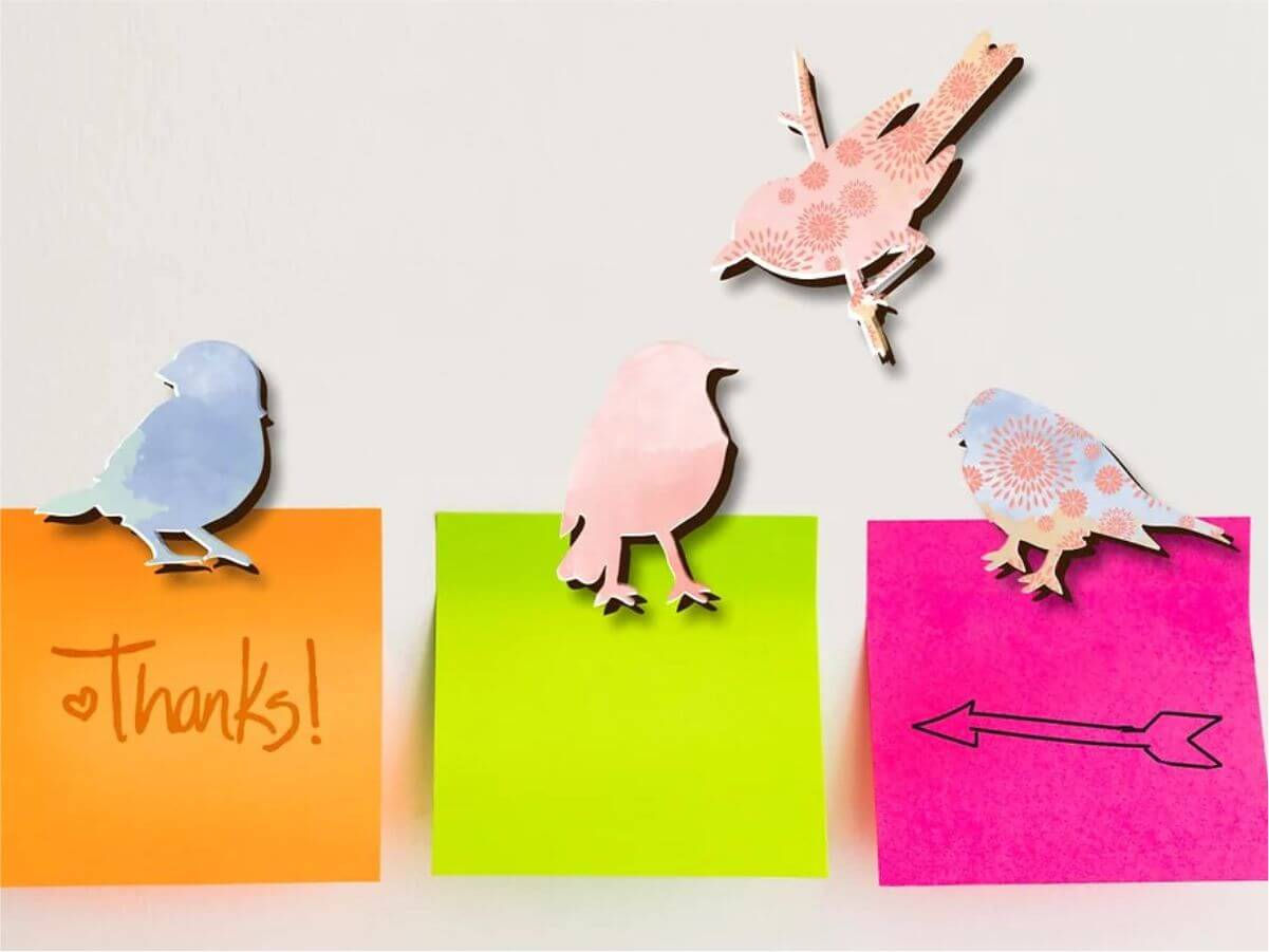 רבעיית מגנטים למקרר | ציפורי יפן