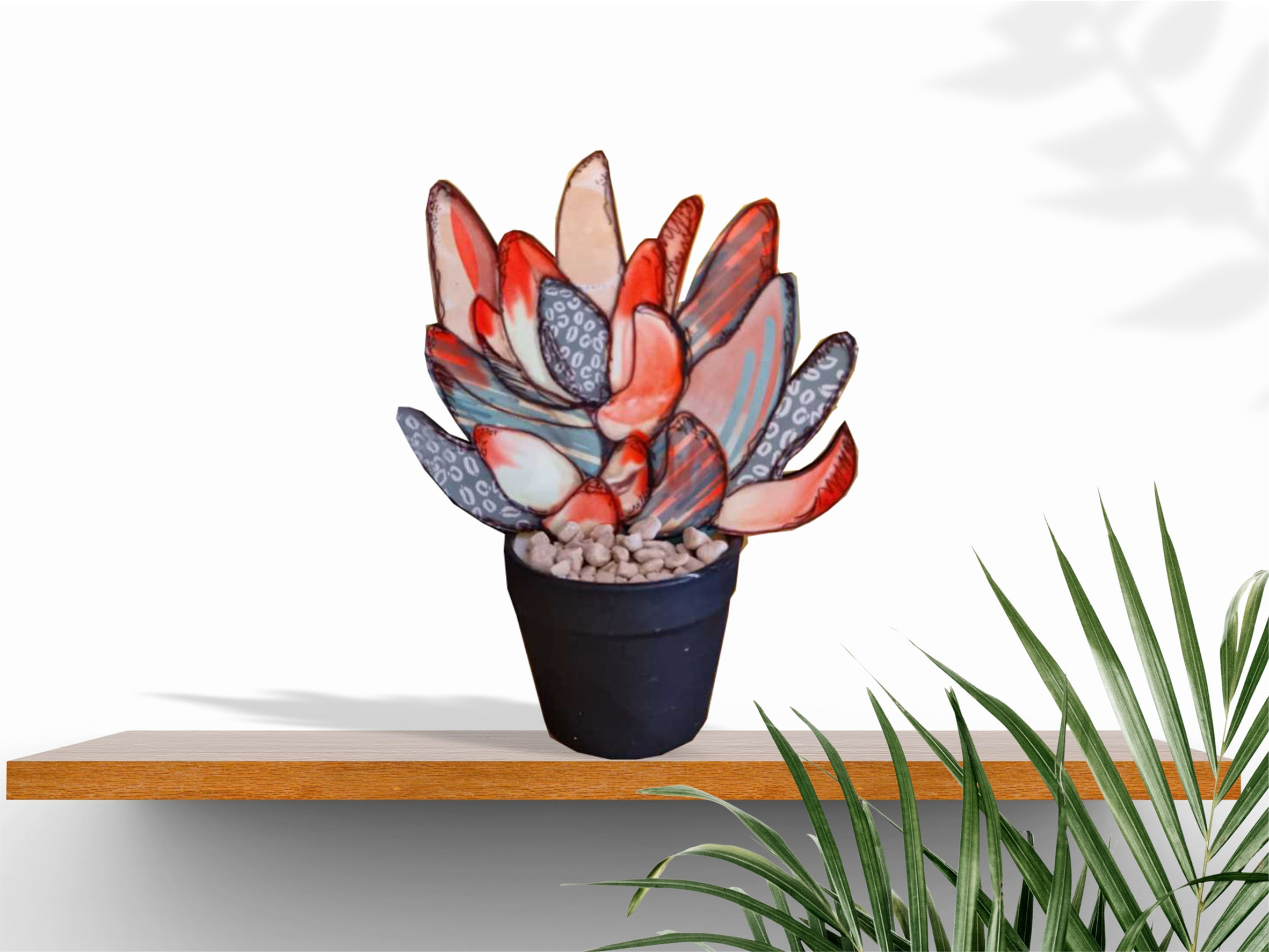 עציץ קקטוס דגם אלמוג