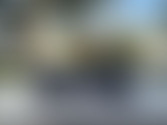 sliding vs swing gate