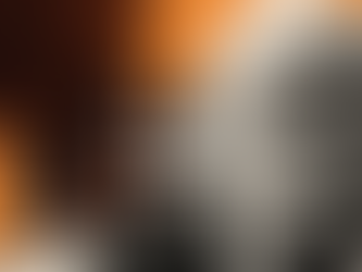 Geopolítica como variável de preço: O alívio do mercado após o adiamento do prazo de Trump