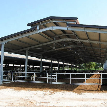 cattle shed.jpg