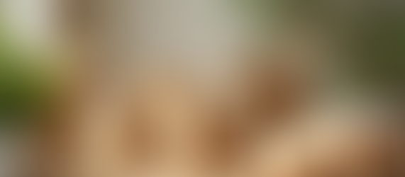 Eco-Friendly Packaging: Sustainable Solutions for Businesses