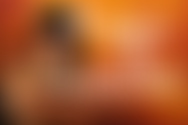 Heroes of the Phoenix Rising by Vision One World