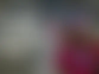 Heroes of the Phoenix Rising by Vision One World