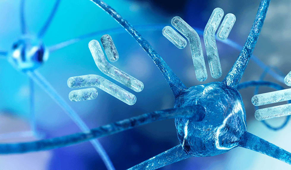 Strengthen Your Immune System with Source Energy