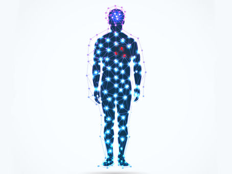 Explaining the Human Body-Field