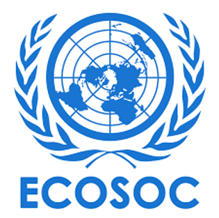 ecosoc.png