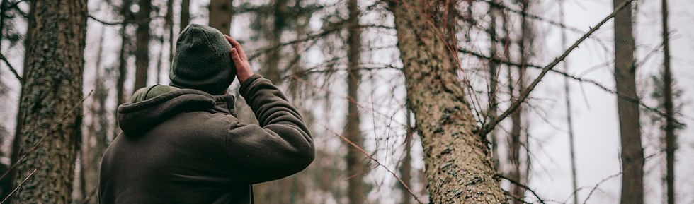 Carpinus, wer?! Wir stellen uns vor