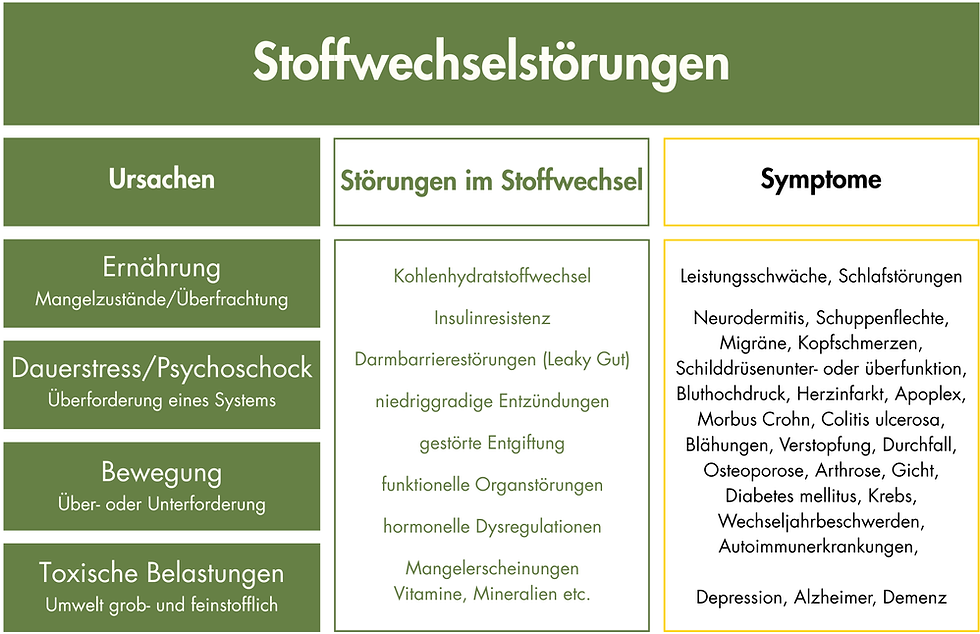 Stoffwechselstörung Naturheilpraxis Barbara Nusselt