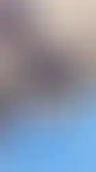 IMG_20250819_120335529