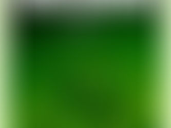 Live de Abertura dos 50 anos da Semana Internacional do Meio Ambiente da Humanidade