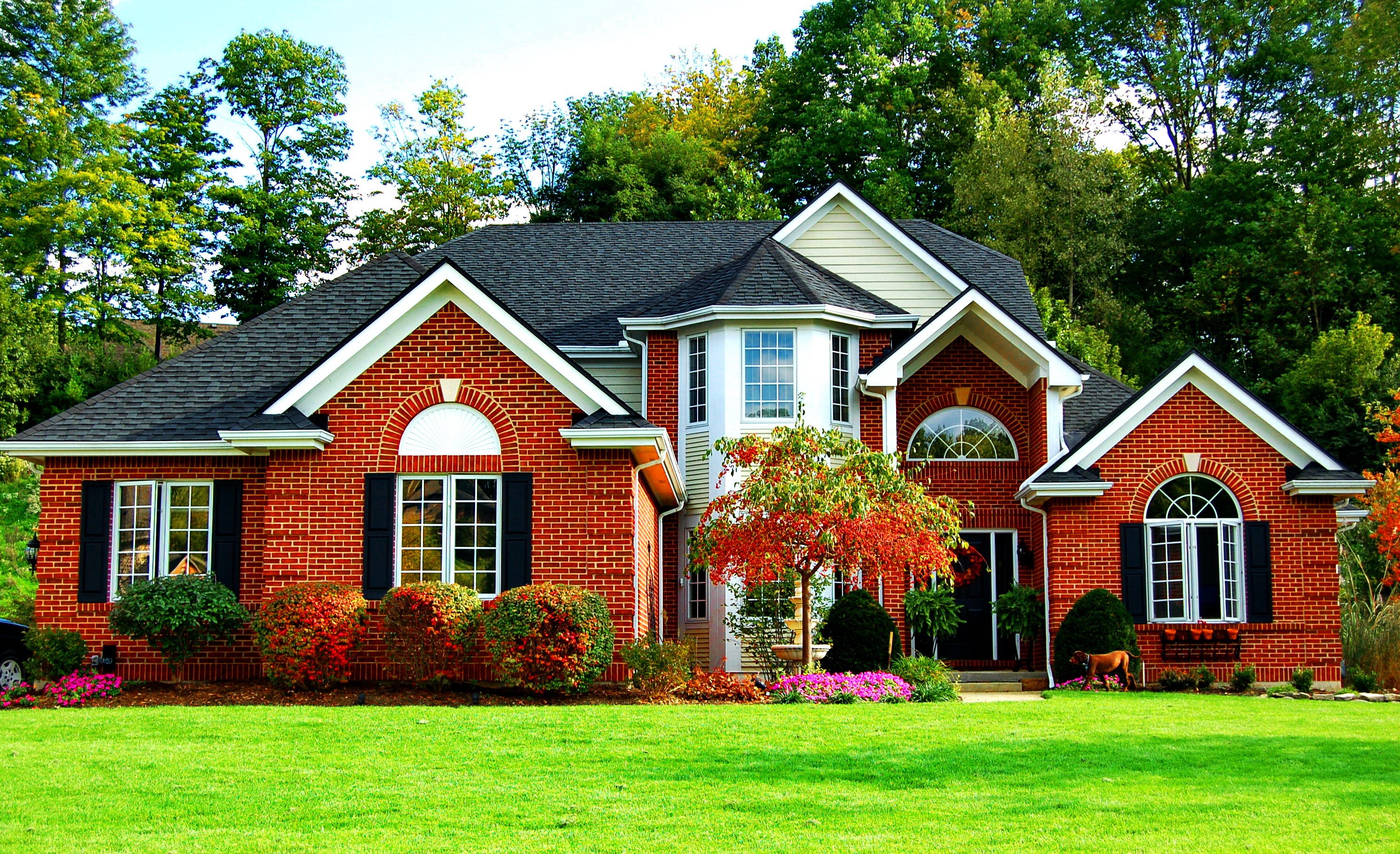 REO and Auction Listings