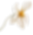 Plant0_15.png